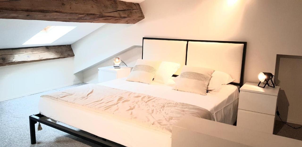 Loft Chic Apartment Каркасон Екстериор снимка